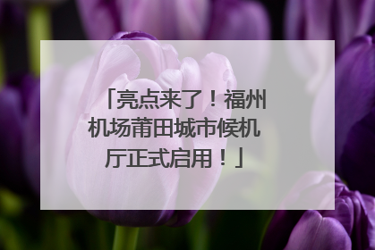 亮点来了！福州机场莆田城市候机厅正式启用！