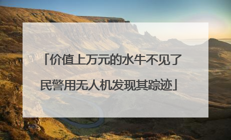 价值上万元的水牛不见了 民警用无人机发现其踪迹