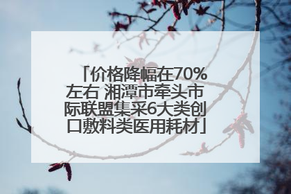 价格降幅在70%左右 湘潭市牵头市际联盟集采6大类创口敷料类医用耗材