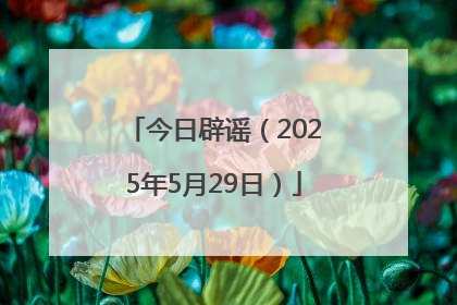 今日辟谣（2025年5月29日）