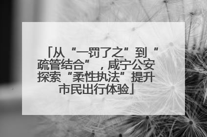 从“一罚了之”到“疏管结合”，咸宁公安探索“柔性执法”提升市民出行体验