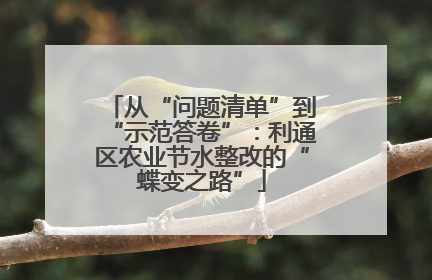从“问题清单”到“示范答卷”：利通区农业节水整改的“蝶变之路”