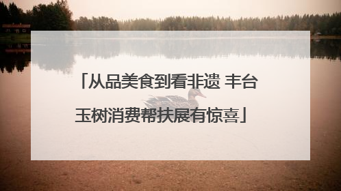 从品美食到看非遗 丰台玉树消费帮扶展有惊喜