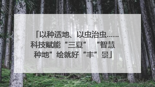 以种适地、以虫治虫……科技赋能“三夏” “智慧种地”绘就好“丰”景