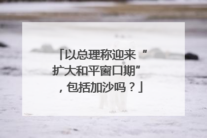 以总理称迎来“扩大和平窗口期”，包括加沙吗？