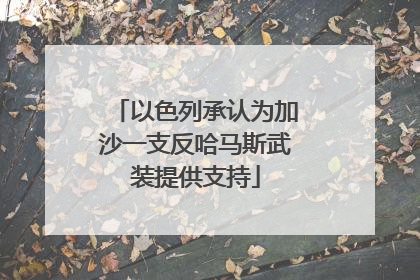 以色列承认为加沙一支反哈马斯武装提供支持