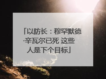 以防长：穆罕默德·辛瓦尔已死 这些人是下个目标