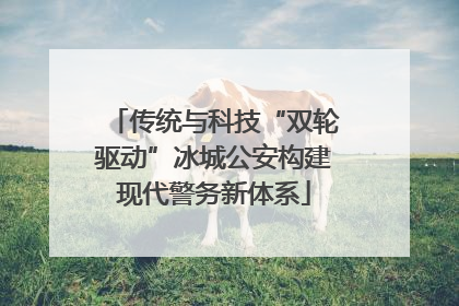 传统与科技“双轮驱动”冰城公安构建现代警务新体系