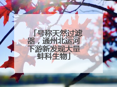 号称天然过滤器，通州北运河下游新发现大量蚌科生物