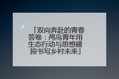 双向奔赴的青春答卷：鸬鸟青年用生态行动与思想碰撞书写乡村未来