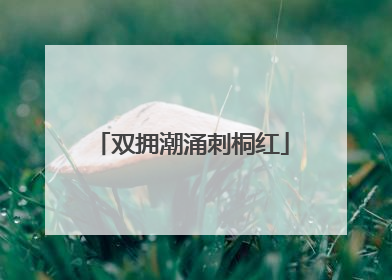 双拥潮涌刺桐红