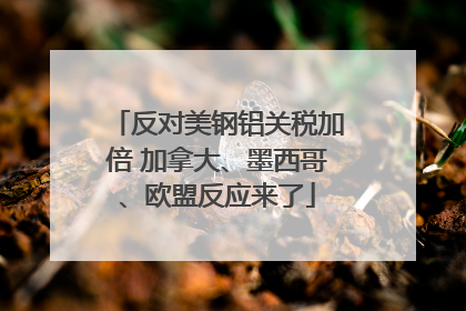 反对美钢铝关税加倍 加拿大、墨西哥、欧盟反应来了