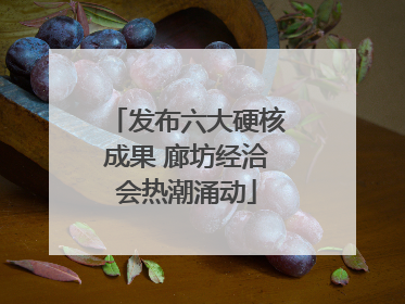 发布六大硬核成果 廊坊经洽会热潮涌动