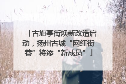 古旗亭街焕新改造启动，扬州古城“网红街巷”将添“新成员”