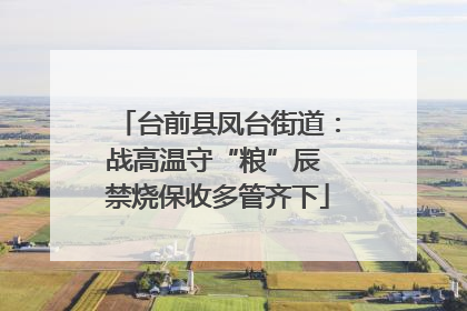 台前县凤台街道：战高温守“粮”辰 禁烧保收多管齐下