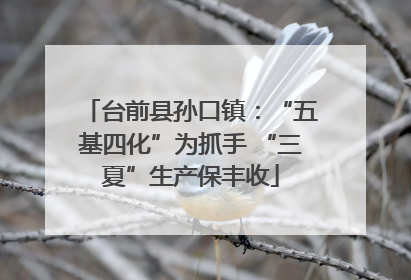 台前县孙口镇：“五基四化”为抓手 “三夏”生产保丰收