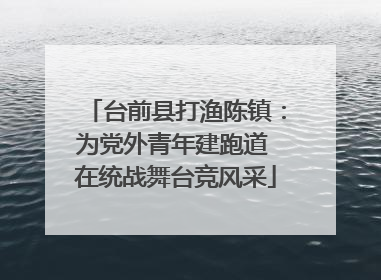 台前县打渔陈镇：为党外青年建跑道 在统战舞台竞风采