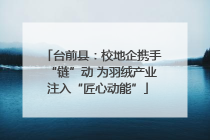 台前县：校地企携手“链”动 为羽绒产业注入“匠心动能”