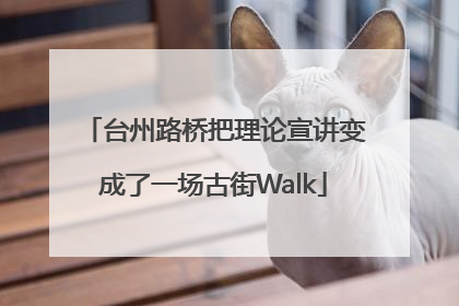 台州路桥把理论宣讲变成了一场古街Walk