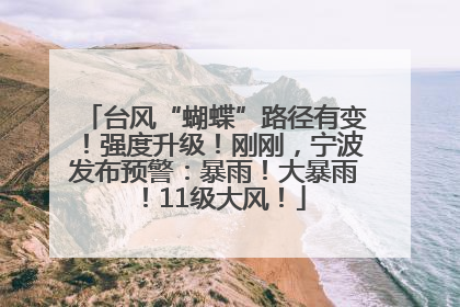 台风“蝴蝶”路径有变！强度升级！刚刚，宁波发布预警：暴雨！大暴雨！11级大风！