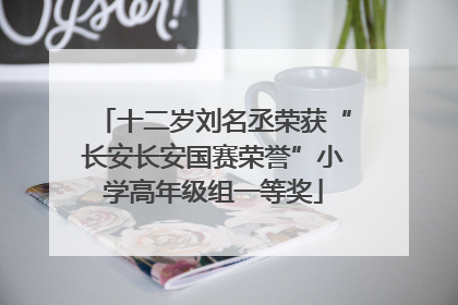 十二岁刘名丞荣获“长安长安国赛荣誉”小学高年级组一等奖