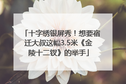 十字绣银屏秀！想要宿迁大叔这幅3.5米《金陵十二钗》的举手