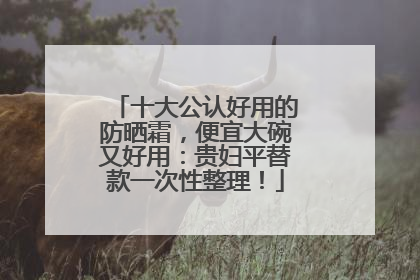 十大公认好用的防晒霜，便宜大碗又好用：贵妇平替款一次性整理！