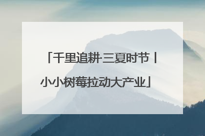 千里追耕·三夏时节丨小小树莓拉动大产业