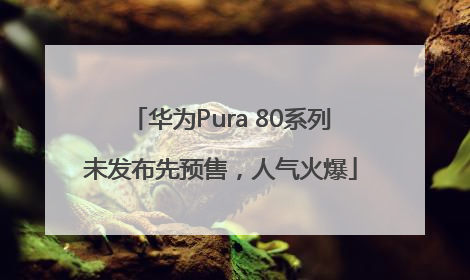 华为Pura 80系列未发布先预售，人气火爆