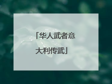 华人武者意大利传武