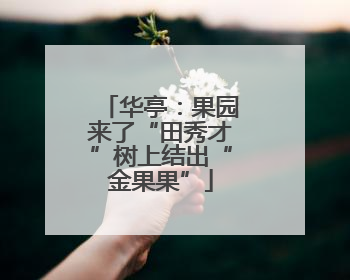 华亭：果园来了“田秀才”树上结出“金果果”