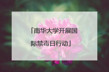 南华大学开展国际禁毒日行动