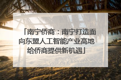 南宁侨商：南宁打造面向东盟人工智能产业高地给侨商提供新机遇