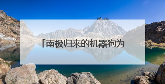 南极归来的机器狗为何六条腿？eVTOL明年可载客？上交会解码前沿技术创新