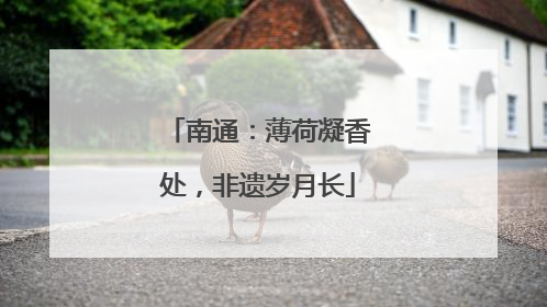 南通：薄荷凝香处，非遗岁月长
