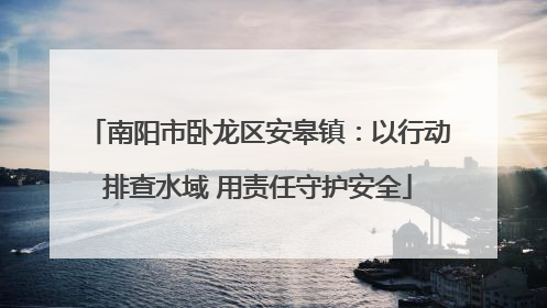 南阳市卧龙区安皋镇：以行动排查水域 用责任守护安全
