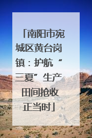 南阳市宛城区黄台岗镇：护航“三夏”生产 田间抢收正当时