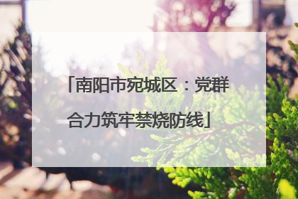 南阳市宛城区：党群合力筑牢禁烧防线
