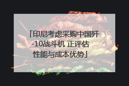 印尼考虑采购中国歼-10战斗机 正评估性能与成本优势