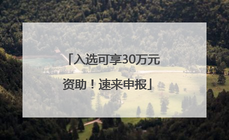 入选可享30万元资助！速来申报