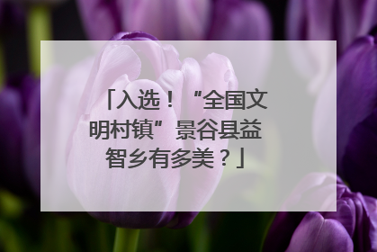 入选！“全国文明村镇”景谷县益智乡有多美？