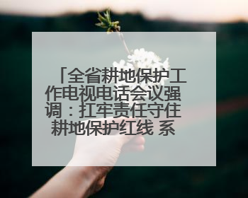 全省耕地保护工作电视电话会议强调：扛牢责任守住耕地保护红线 系统施治夯实粮食安全根基 王宁作出批示 王予波出席并讲话