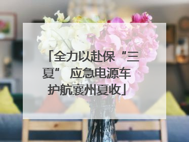 全力以赴保“三夏” 应急电源车护航襄州夏收
