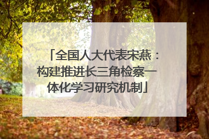 全国人大代表宋燕：构建推进长三角检察一体化学习研究机制