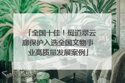 全国十佳！蜀道翠云廊保护入选全国文物事业高质量发展案例