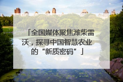 全国媒体聚焦潍柴雷沃，探寻中国智慧农业的“新质密码”