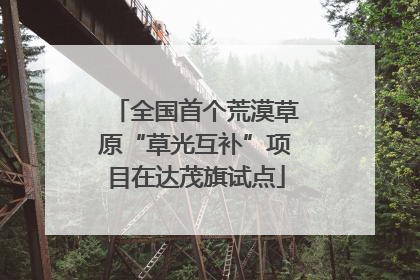 全国首个荒漠草原“草光互补”项目在达茂旗试点