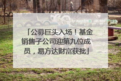 公募巨头入场！基金销售子公司迎第九位成员，易方达财富获批