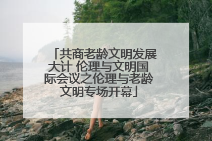 共商老龄文明发展大计 伦理与文明国际会议之伦理与老龄文明专场开幕
