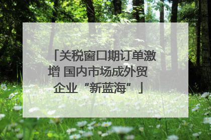 关税窗口期订单激增 国内市场成外贸企业“新蓝海”